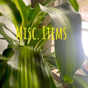 Miscellaneous Items